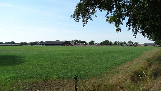 foto van een groen weiland met koeienstal op de achtergrond